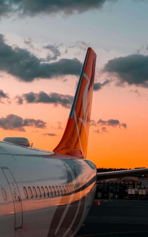 pexels-photo-14167016 pexels-photo-14167016