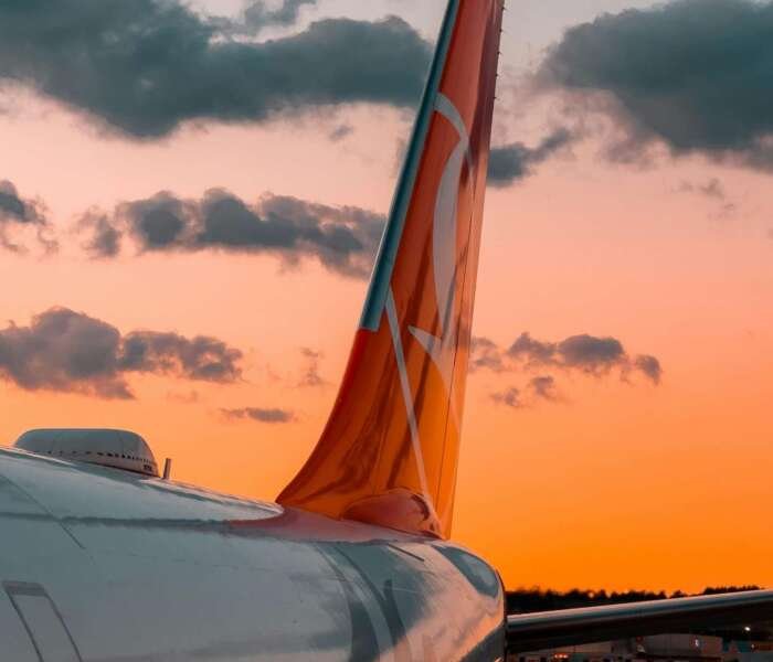 pexels-photo-14167016 pexels-photo-14167016